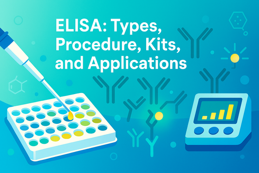 Enzyme Linked Immunosorbent Assay (ELISA): Types, Procedure, Kits, and Applications
