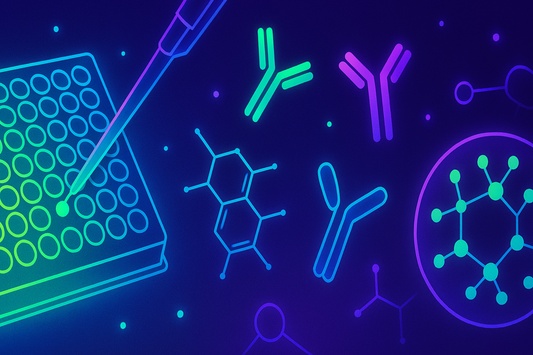 The Stages of Assay Development: From Concept to Validation