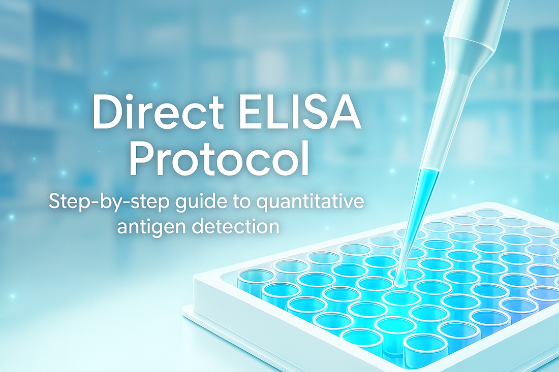 🧪 Direct ELISA Protocol (Step by Step)
