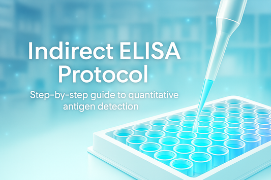 Indirect ELISA Procedures in Detail — A Complete Guide