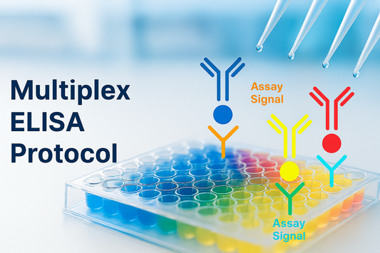 Multiplex ELISA Protocol — Simultaneous Quantification of Multiple Analytes