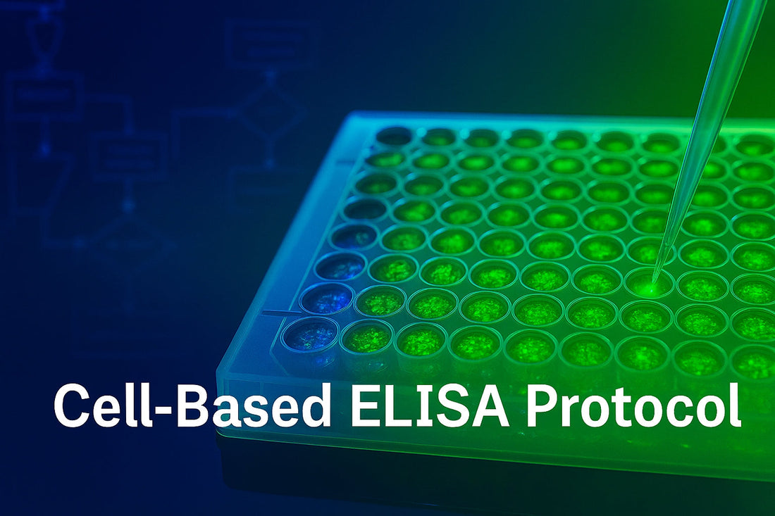 Cell-Based ELISA Protocol